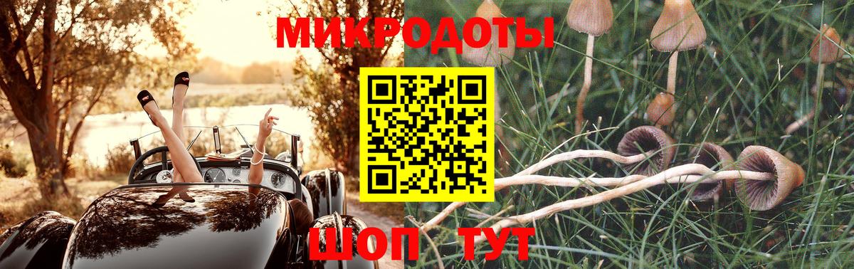 Псилоцибиновые грибы прущие грибы Серов