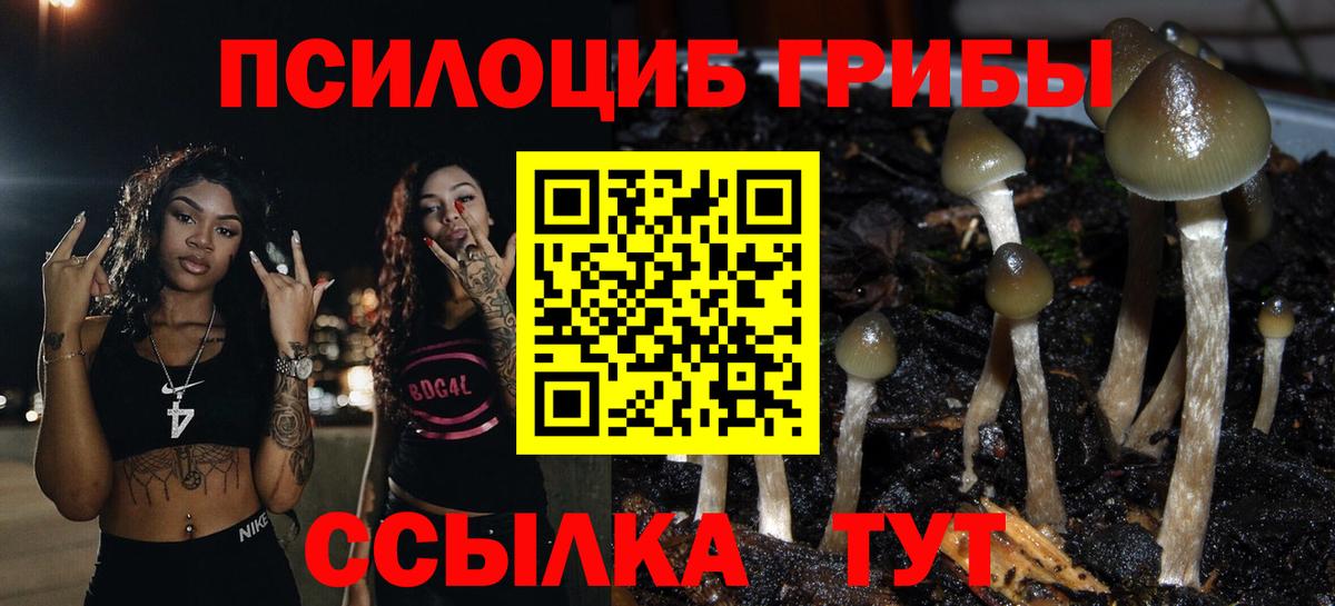 Серов  Галлюциногенные грибы GOLDEN TEACHER  Вход с VPN 